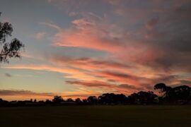 Wallace Park Dog Exercise Area Kalgoorlie