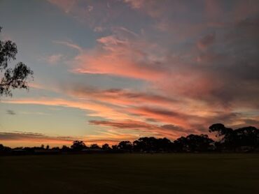 Wallace Park Dog Exercise Area Kalgoorlie