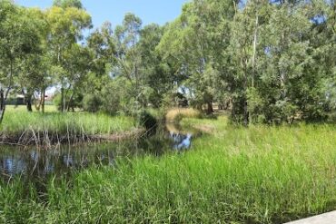 Walpole Road Wetlands Paralowie