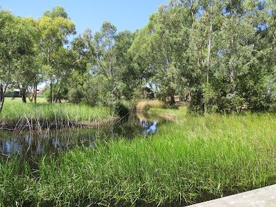 Walpole Road Wetlands Paralowie