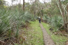 Warren Conservation Park Blakeview