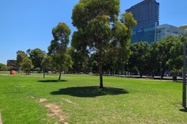 Light Square / Wauwi Adelaide