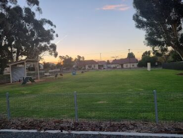 White Park Murray Bridge