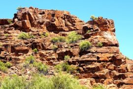 Whyalla Conservation Park Whyalla Stuart