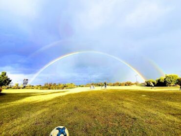 Willeroo Park Ellenbrook