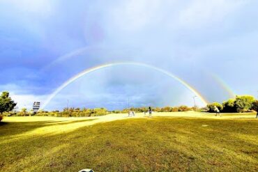 Willeroo Park Ellenbrook