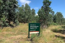 Woowookarung Regional Park Mount Clear