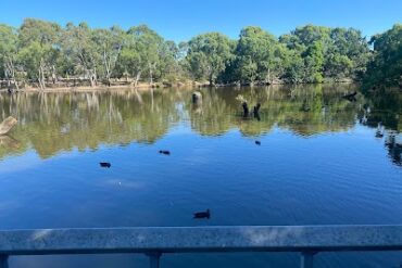 Wynn Vale Dam Boardwalk Wynn Vale