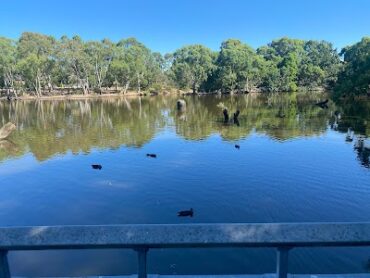 Wynn Vale Dam Boardwalk Wynn Vale