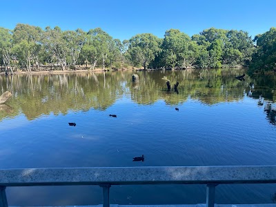 Wynn Vale Dam Boardwalk Wynn Vale