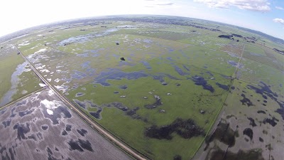 Wyrie Swamp Millicent