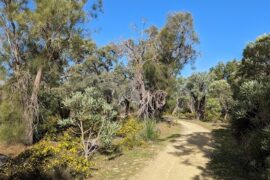 Yaberoo Budjara Heritage Trail Joondalup