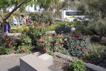 Yarrabee Native Garden Lara