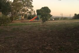 Young Street Reserve Reynella