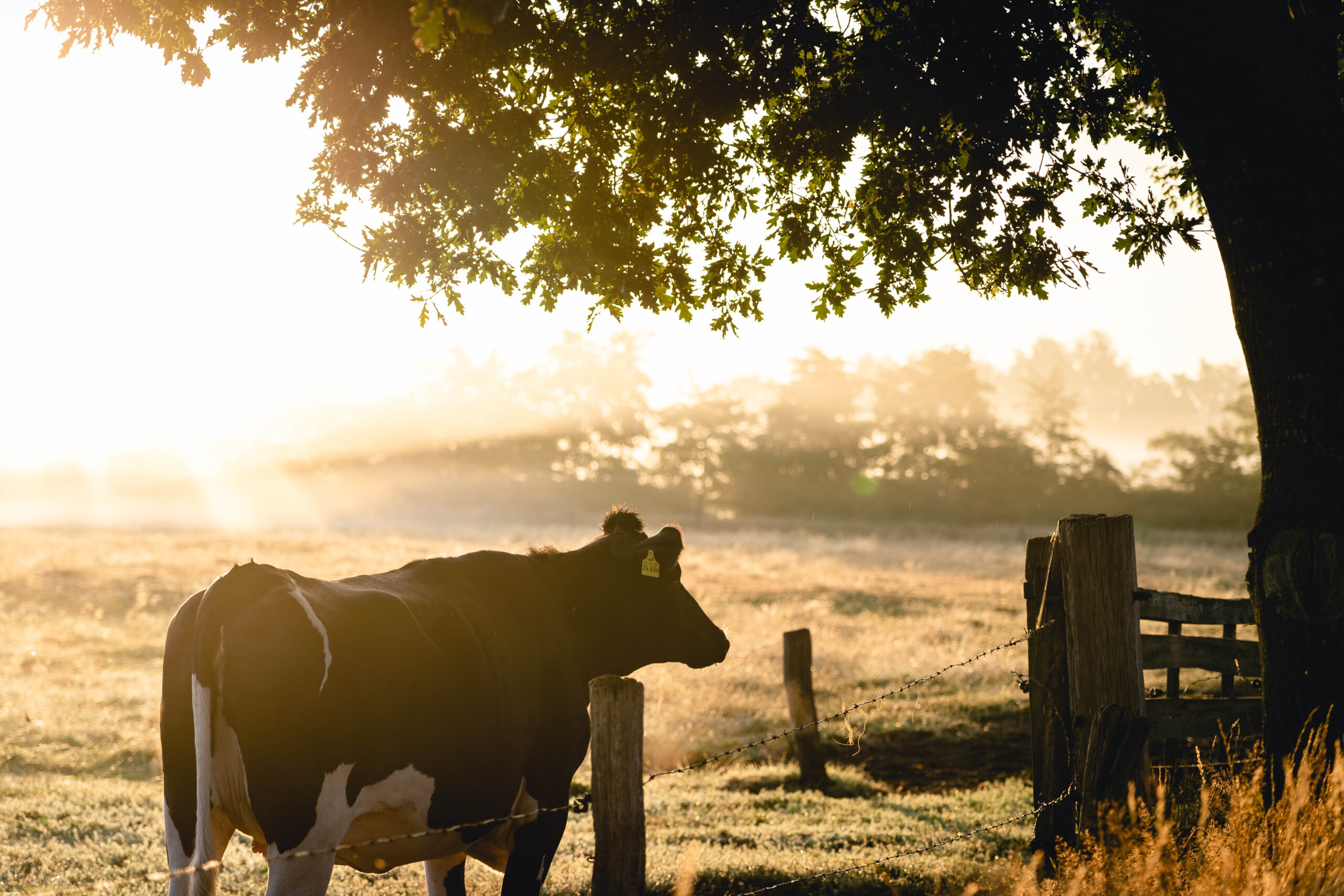 melbourne farm