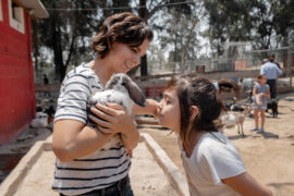 petting farms melbourne