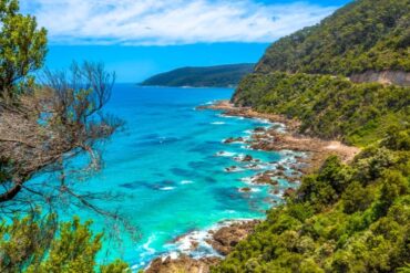 things to do in lorne with family