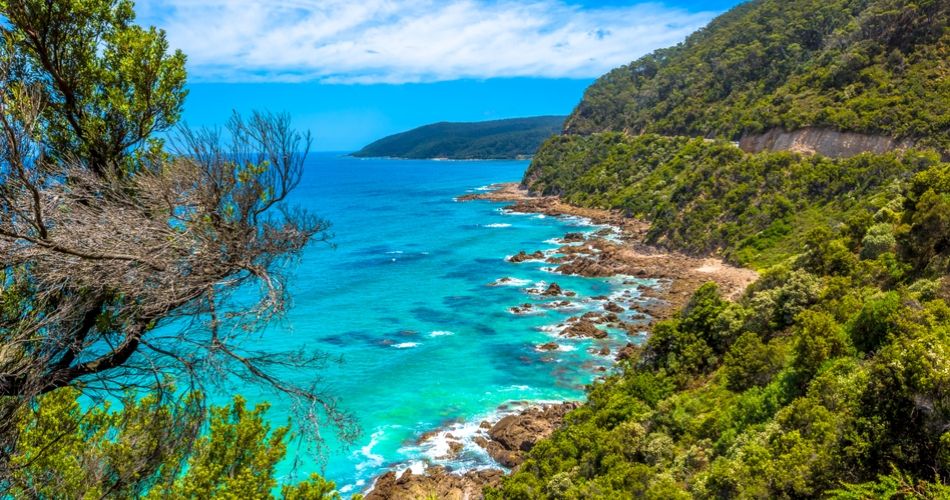 things to do in lorne with family