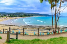 things to do in lorne with kids