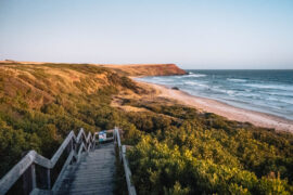 things to do in phillip island with kids