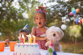 4 year old birthday party venues in Canberra