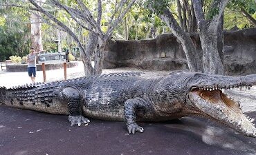 Australia Zoo Beerwah