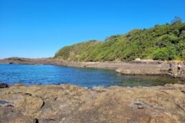 Bass Point Reserve Shell Cove