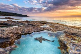 Beaches in Canberra