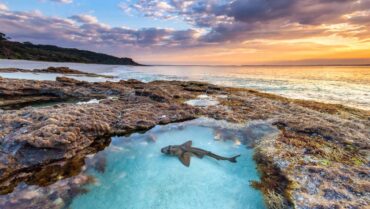 Beaches in Canberra