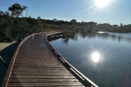 Beree-Badalla Reserve Palm Beach