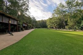 Blackbutt Nature Reserve Kotara