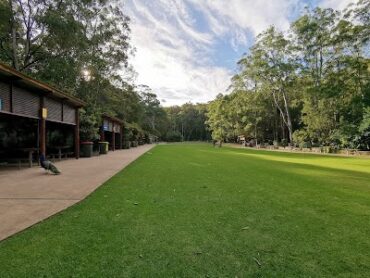 Blackbutt Nature Reserve Kotara