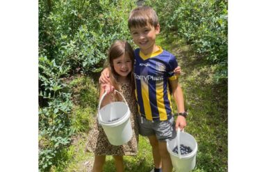 Blueberry Picking Places in Canberra