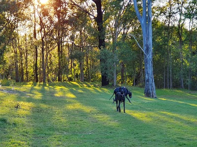 Boonooroo Park (Central) Carrara