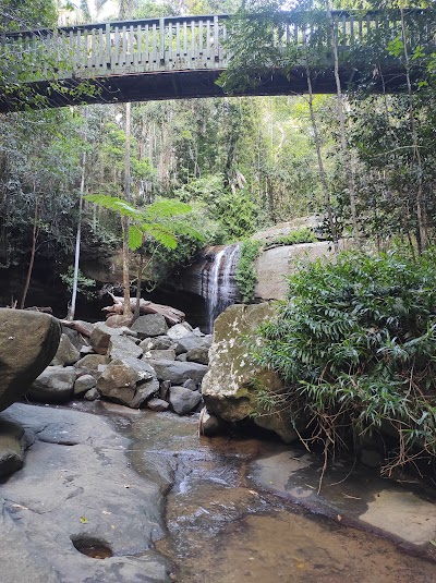 Buderim Forest Park Buderim