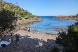 Bushrangers Bay Aquatic Reserve Shell Cove