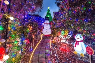 Christmas Lights in Canberra