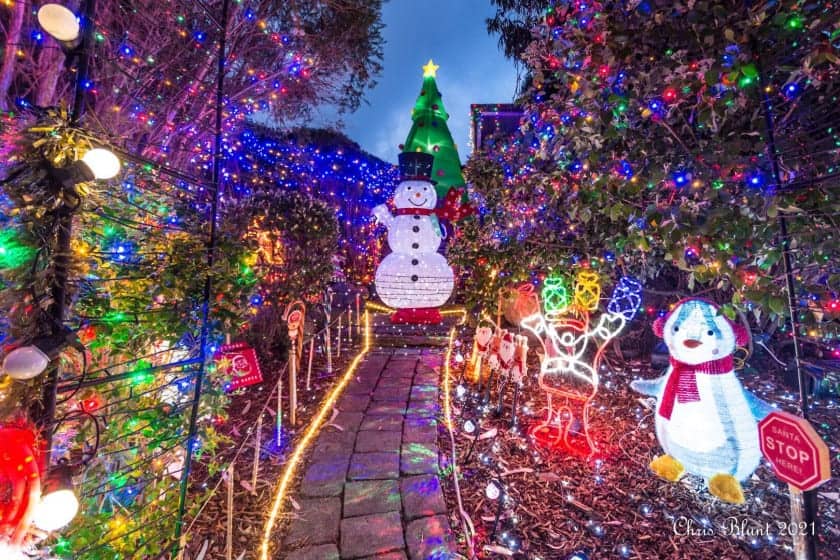 Experience the Magical Christmas Lights in Canberra