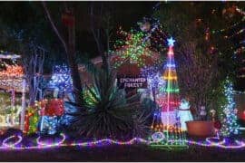 Christmas Lights in Toowoomba