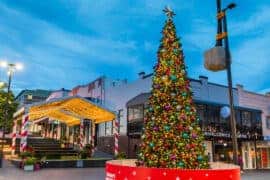 Christmas Lights in Wollongong