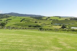 Crooked River Wines - Winery - Cellar Door - Restaurant - Wedding Venue Gerringong