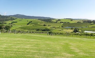 Crooked River Wines - Winery - Cellar Door - Restaurant - Wedding Venue Gerringong