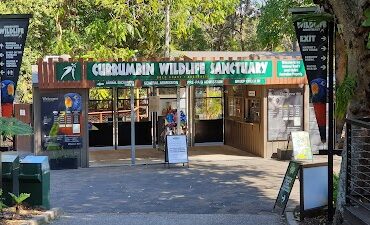 Currumbin Wildlife Sanctuary Currumbin