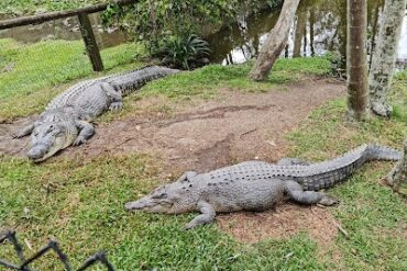 David Fleay Wildlife Park Burleigh Heads