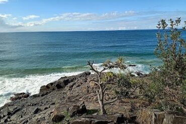 Dolphin Point Lookout Noosa Heads