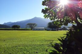 Dugong Close Park Bentley Park