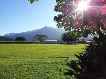 Dugong Close Park Bentley Park