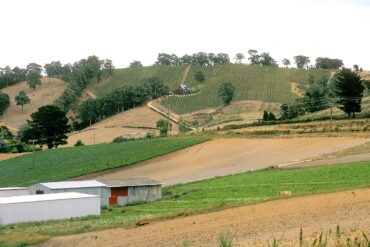 Family Farm Stays in Adelaide