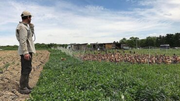 Family Farm Stays in Darwin