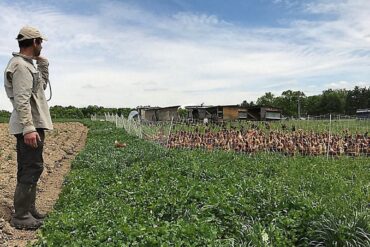 Family Farm Stays in Darwin